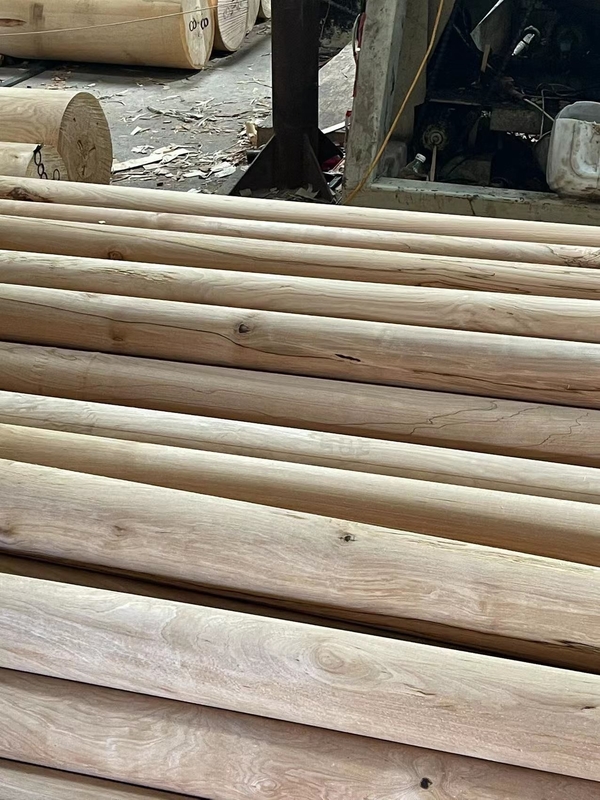Die Herstellung von Sperrholz 12-18 mm Flachfilm für Laser-Durchschnitt Industrie